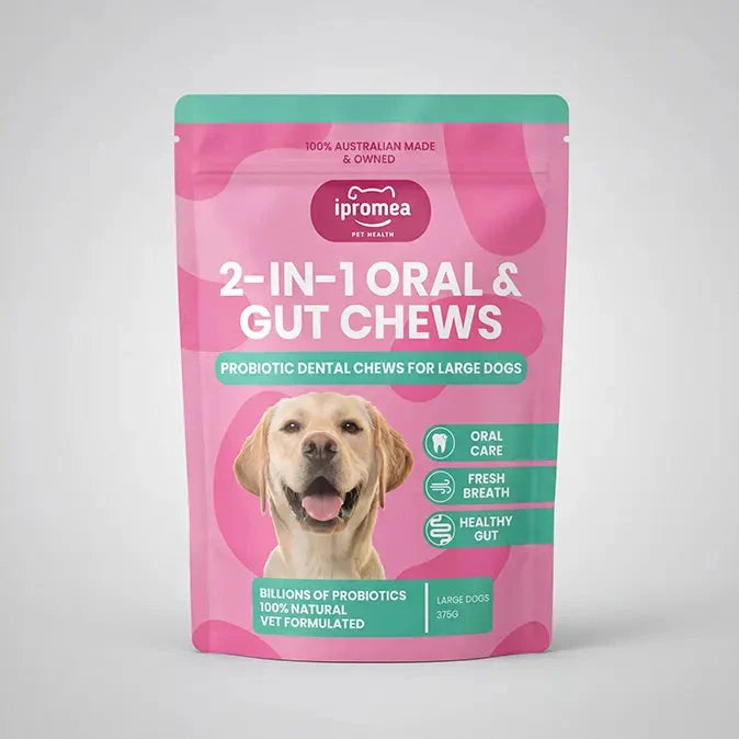 Ipromea 2-in-1 Oral and Gut Chews for Large Dogs front of packaging