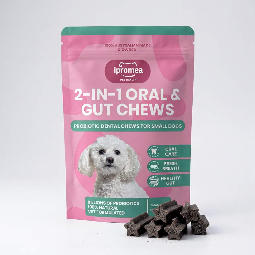 Ipromea 2-in-1 Oral and Gut Chews for Small Dogs probiotic dental chews for small breeds