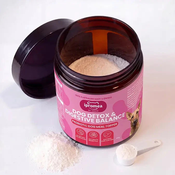 Ipromea Dog Detox and Digestive Balance open pouch showing digestive probiotic powder