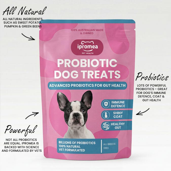 Ipromea Probiotic Dog Treats packaging with gut health benefits text overlay