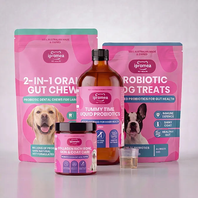Large Dog Probiotics Pack