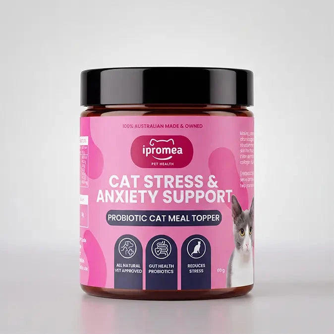 Ipromea Cat Stress and Anxiety Support calming probiotic supplement sealed pouch