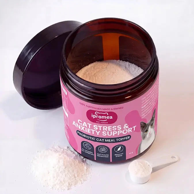 Ipromea Cat Stress and Anxiety Support open pouch showing calming probiotic powder