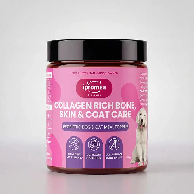 Ipromea Collagen Rich Skin and Coat Care probiotic supplement for dogs and cats, sealed pouch