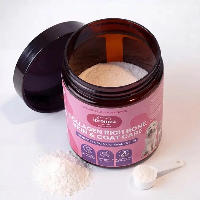 Ipromea Collagen Rich Skin and Coat Care open pouch showing marine collagen probiotic powder