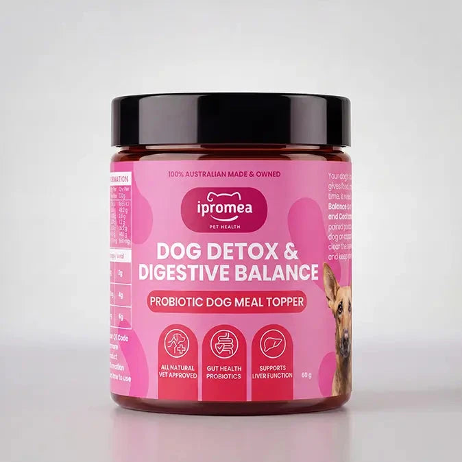 Ipromea Dog Detox and Digestive Balance probiotic supplement pouch front