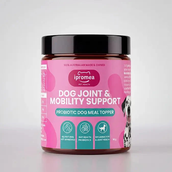 Ipromea Dog Joint Mobility and Support probiotic supplement pouch front