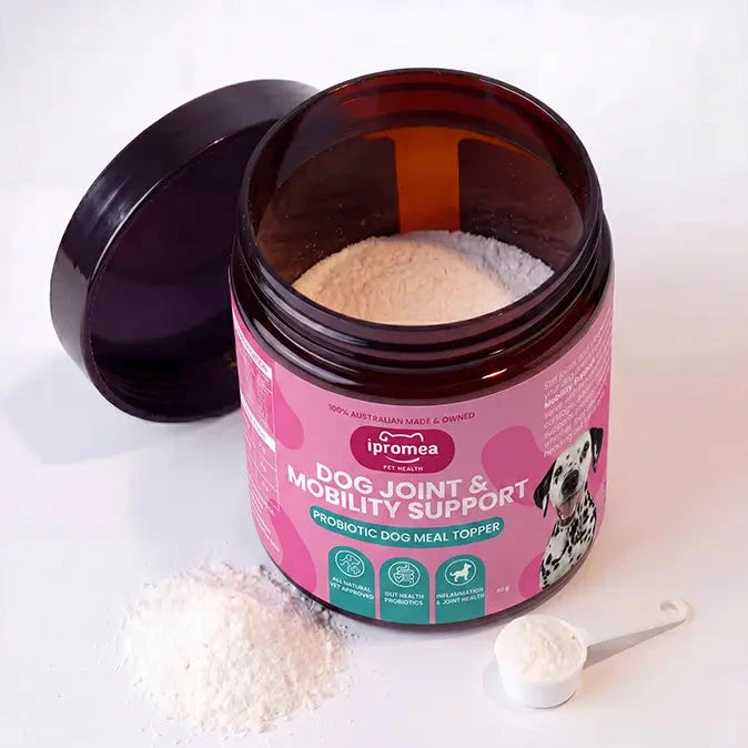 Ipromea Dog Joint Mobility and Support open pouch showing joint health probiotic powder