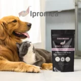 iPRO-ABSORB Digestive System Support Pet Meal Topper | Probiotics + Gut-Brain
